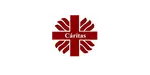 Cliente de Lisys